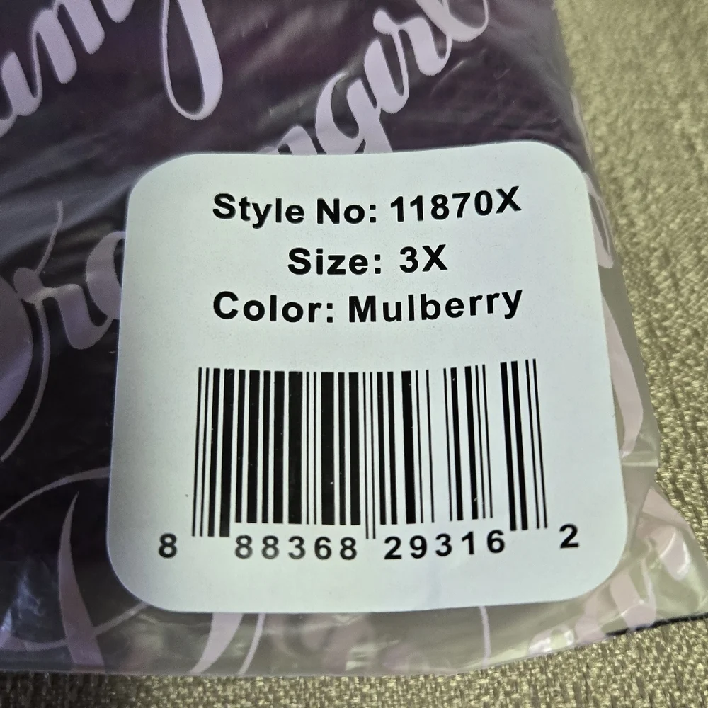 DREAMGIRL | "What A Mesh" Fishnet & Lace Chemise in Mulberry sz 3X - Picture 7 of 8